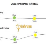 vang ngon hay dở