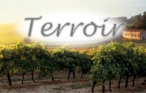 terroir là gì